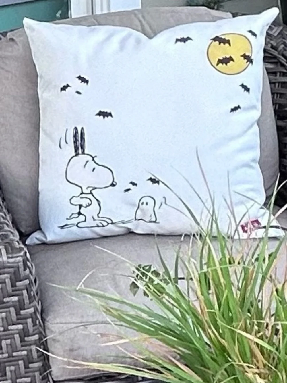 Pottery Barn Peanuts Snoopy Pillows Ghost Bats Set of 2